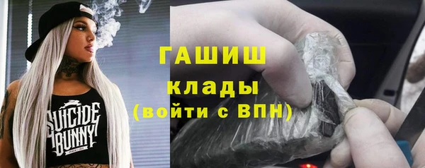 прущие грибы Новокубанск
