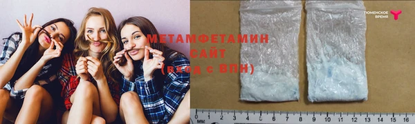 прущие грибы Новокубанск