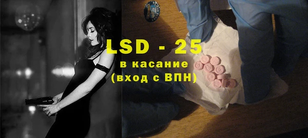 прущие грибы Новокубанск