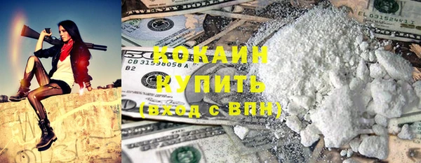 прущие грибы Новокубанск