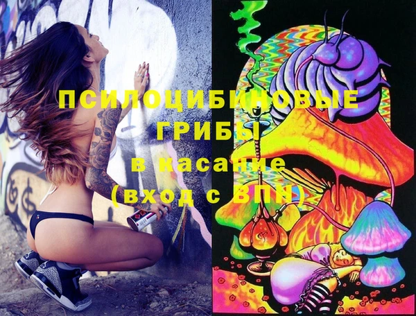 а пвп мука Новодвинск
