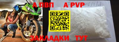 PSILOCYBIN Гатчина