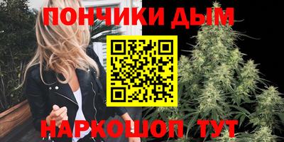 PSILOCYBIN Гатчина