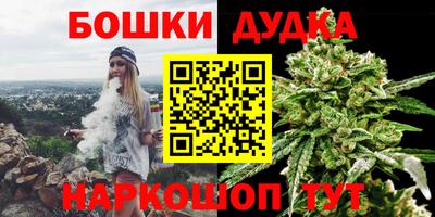 PSILOCYBIN Гатчина