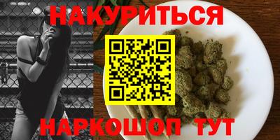 PSILOCYBIN Гатчина