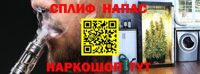 PSILOCYBIN Гатчина