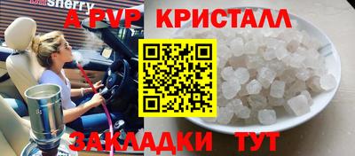 PSILOCYBIN Гатчина