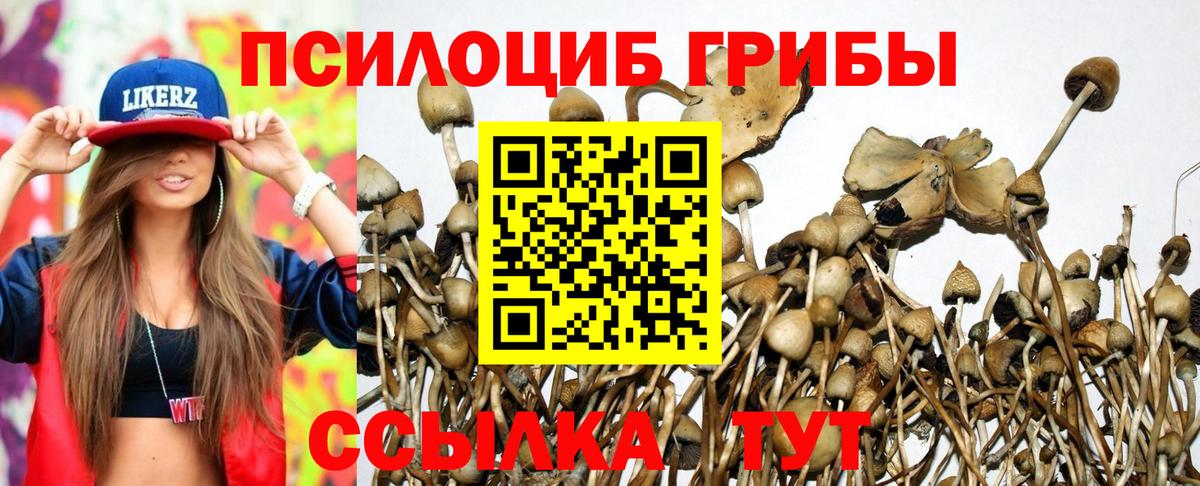 Псилоцибиновые грибы прущие грибы Кувандык