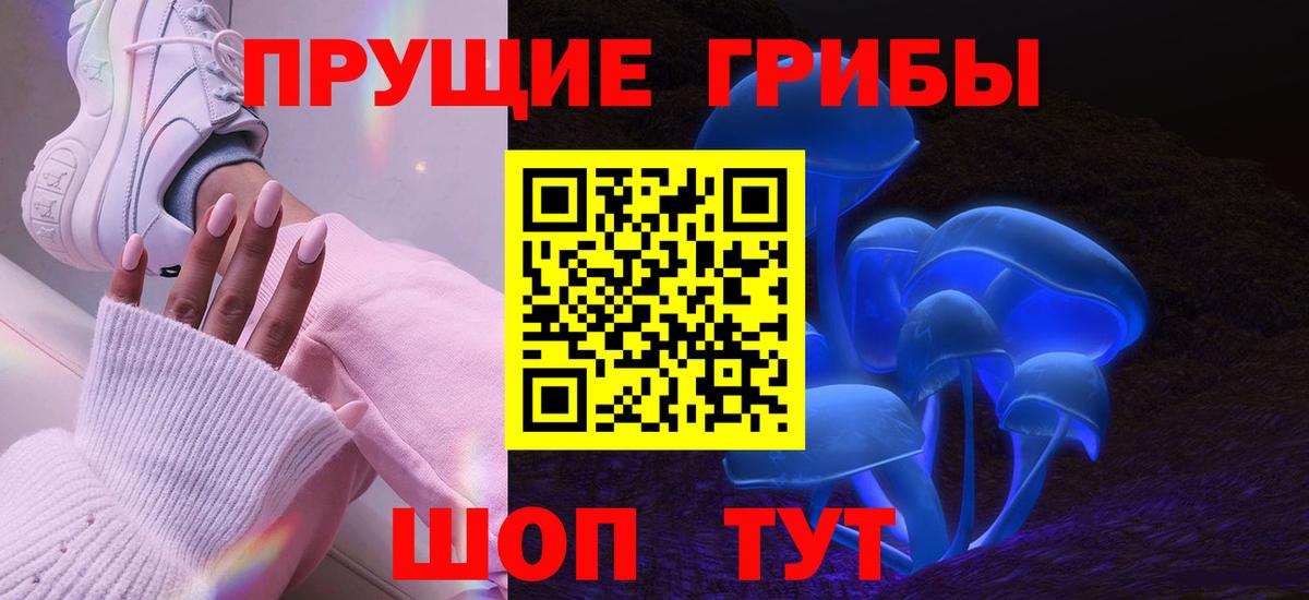 где купить наркоту  Псилоцибиновые грибы Magic Shrooms  Галлюциногенные грибы прущие грибы  Вход с VPN  Кувандык 